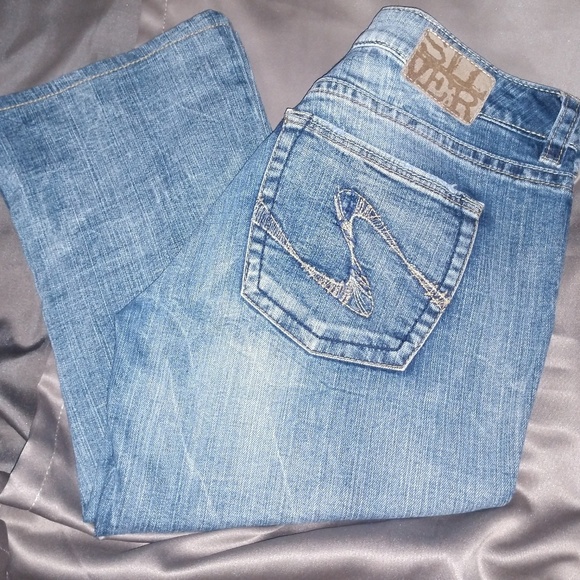 Silver Capris! NEW - Picture 1 of 4